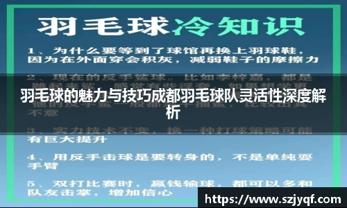 球盟会